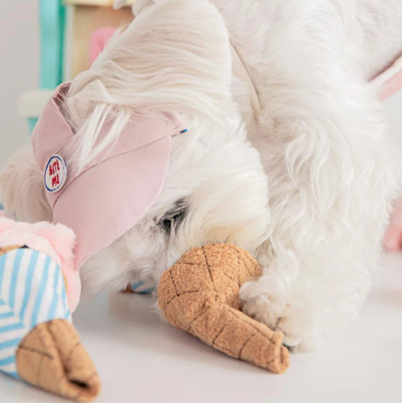 Ice Cream Toy